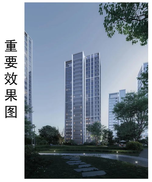 大華 一二一大街總部基地項目 一期批前公示