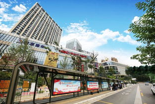 中標(biāo) 厲害了,人民路最美的畫面歸他啦