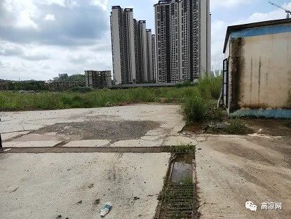 2.1億低價起拍 高州一地產商的不動產 含 別墅 商品樓 司法拍賣