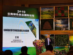 云南綠色食品國際論壇成功舉辦,十二塊田與云南建投房地產現場簽署合作協議